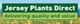 Jersey Plants Direct